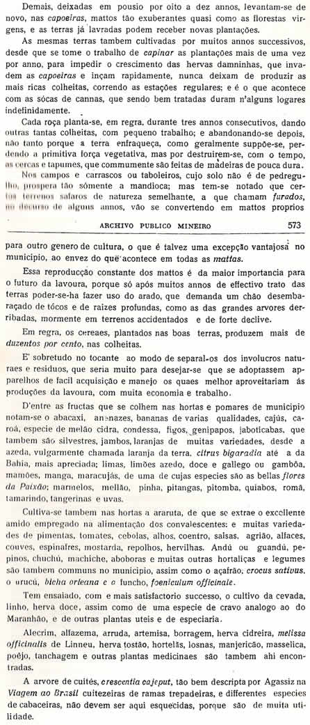 Chorografia Mineira - D�cima terceira parte