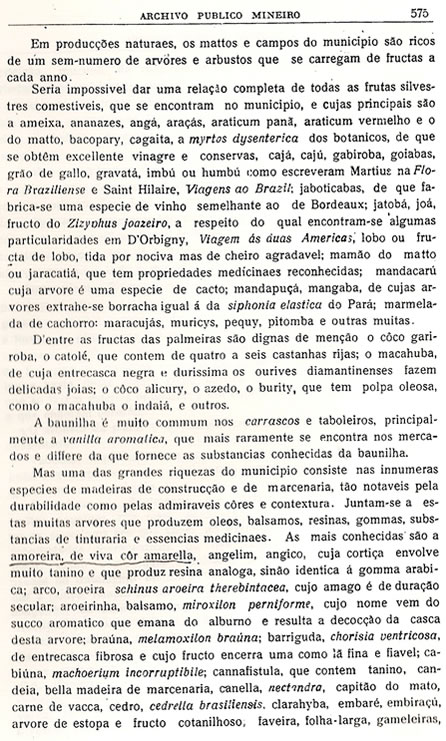 Chorografia Mineira - D�cima quinta parte